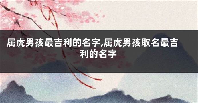 属虎男孩最吉利的名字,属虎男孩取名最吉利的名字