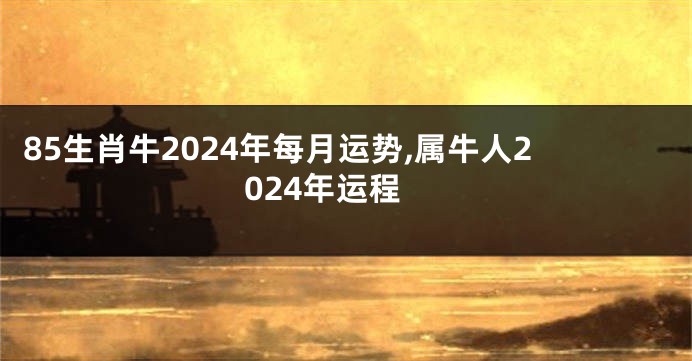 85生肖牛2024年每月运势,属牛人2024年运程