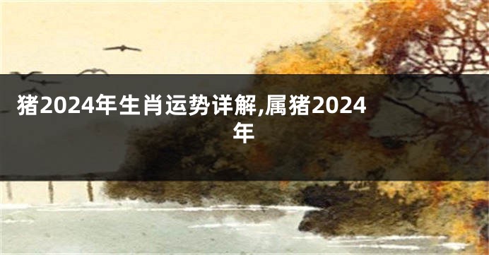 猪2024年生肖运势详解,属猪2024年
