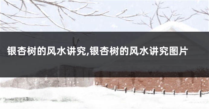 银杏树的风水讲究,银杏树的风水讲究图片