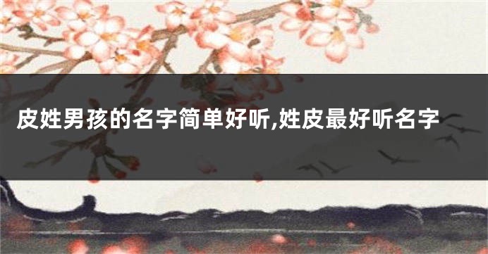 皮姓男孩的名字简单好听,姓皮最好听名字