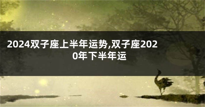 2024双子座上半年运势,双子座2020年下半年运