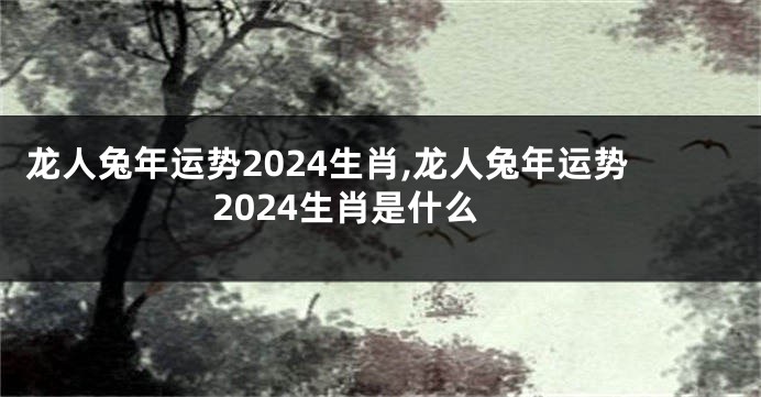 龙人兔年运势2024生肖,龙人兔年运势2024生肖是什么