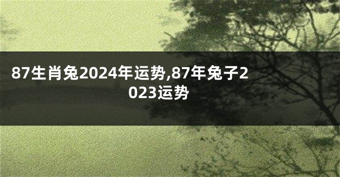 87生肖兔2024年运势,87年兔子2023运势