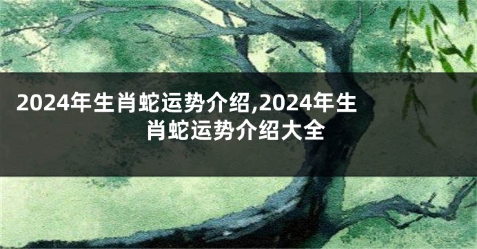 2024年生肖蛇运势介绍,2024年生肖蛇运势介绍大全