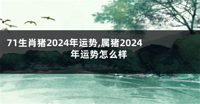 71生肖猪2024年运势,属猪2024年运势怎么样