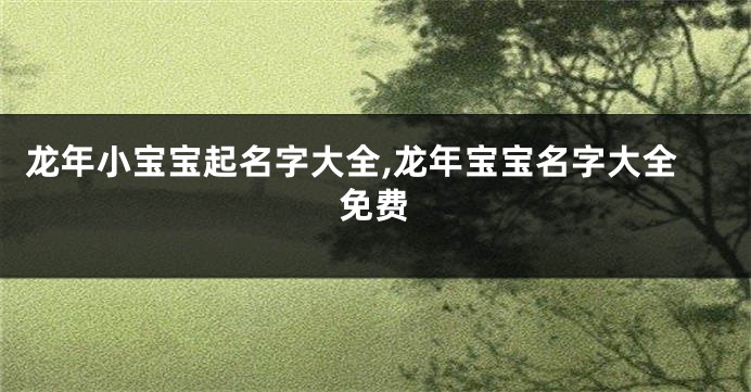 龙年小宝宝起名字大全,龙年宝宝名字大全免费