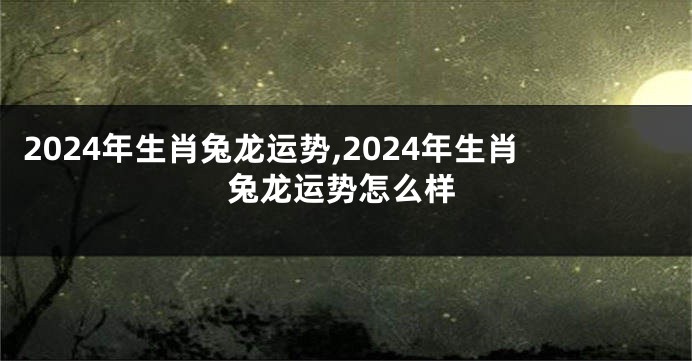 2024年生肖兔龙运势,2024年生肖兔龙运势怎么样