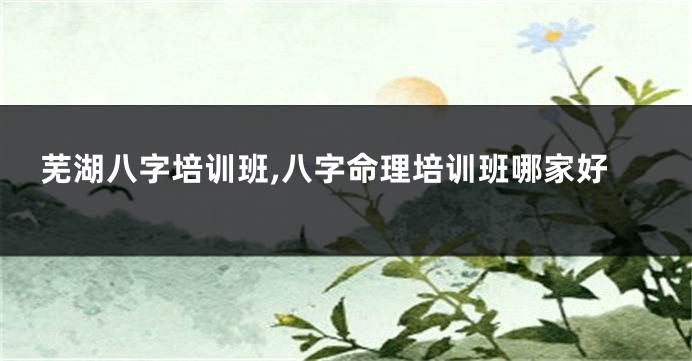 芜湖八字培训班,八字命理培训班哪家好