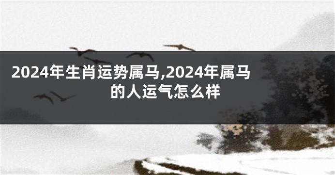 2024年生肖运势属马,2024年属马的人运气怎么样
