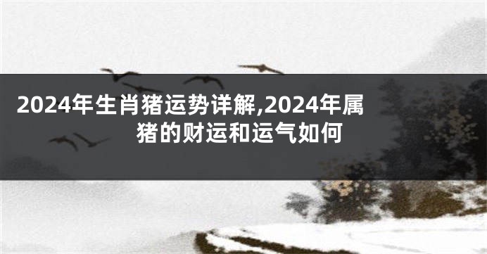 2024年生肖猪运势详解,2024年属猪的财运和运气如何
