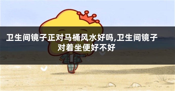 卫生间镜子正对马桶风水好吗,卫生间镜子对着坐便好不好