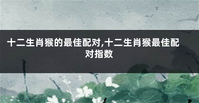 十二生肖猴的最佳配对,十二生肖猴最佳配对指数