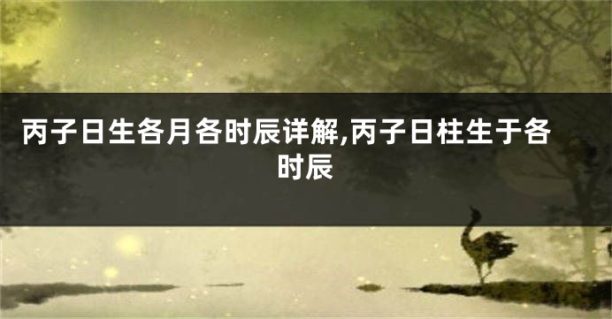 丙子日生各月各时辰详解,丙子日柱生于各时辰