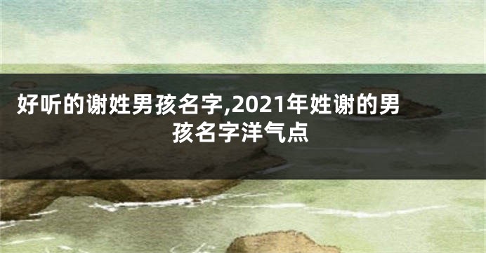 好听的谢姓男孩名字,2021年姓谢的男孩名字洋气点