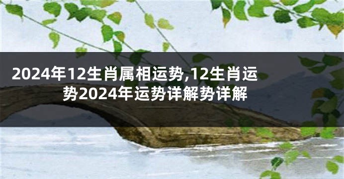 2024年12生肖属相运势,12生肖运势2024年运势详解势详解