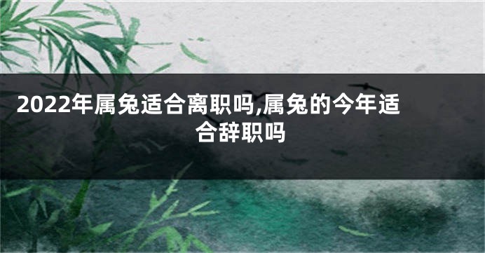 2022年属兔适合离职吗,属兔的今年适合辞职吗