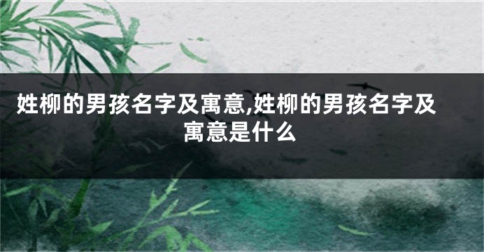 姓柳的男孩名字及寓意,姓柳的男孩名字及寓意是什么