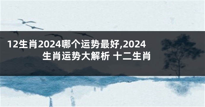 12生肖2024哪个运势最好,2024生肖运势大解析 十二生肖