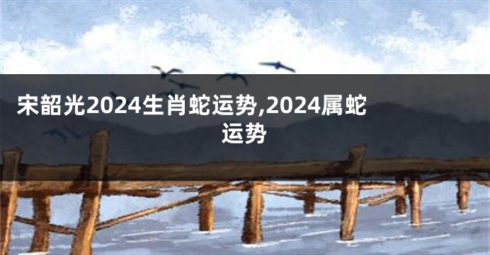 宋韶光2024生肖蛇运势,2024属蛇运势