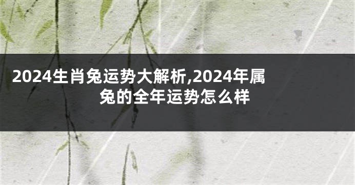 2024生肖兔运势大解析,2024年属兔的全年运势怎么样