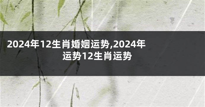 2024年12生肖婚姻运势,2024年运势12生肖运势