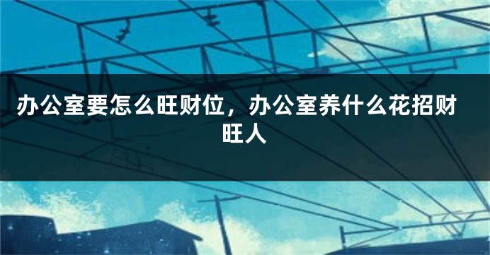 办公室要怎么旺财位，办公室养什么花招财旺人