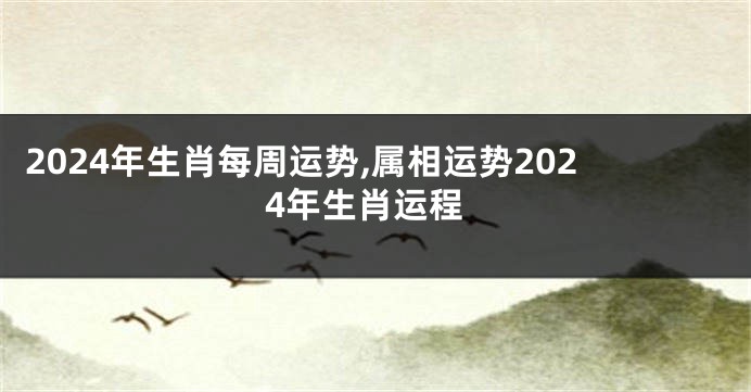 2024年生肖每周运势,属相运势2024年生肖运程