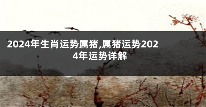 2024年生肖运势属猪,属猪运势2024年运势详解