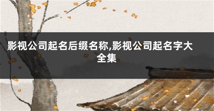 影视公司起名后缀名称,影视公司起名字大全集