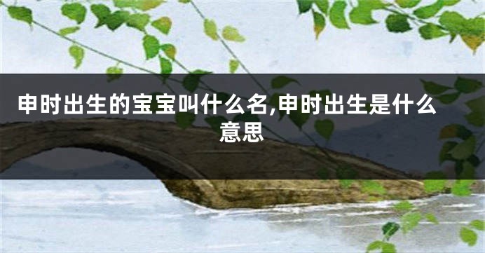 申时出生的宝宝叫什么名,申时出生是什么意思