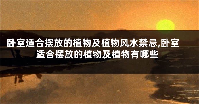 卧室适合摆放的植物及植物风水禁忌,卧室适合摆放的植物及植物有哪些