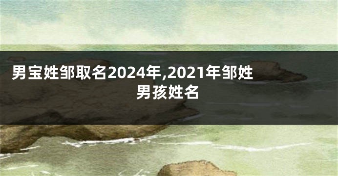 男宝姓邹取名2024年,2021年邹姓男孩姓名