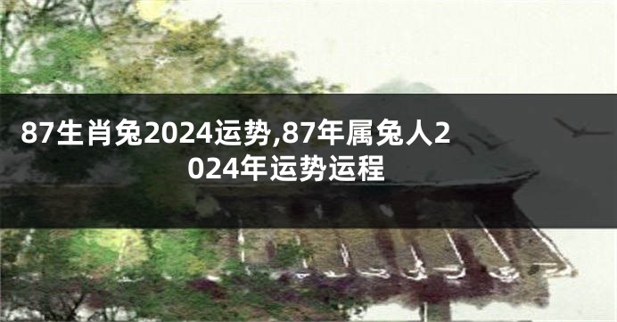 87生肖兔2024运势,87年属兔人2024年运势运程