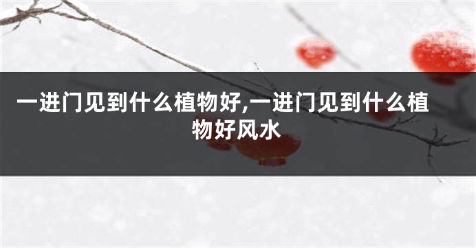 一进门见到什么植物好,一进门见到什么植物好风水