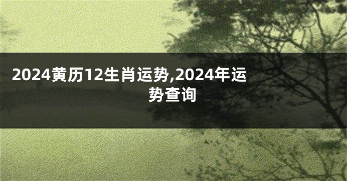 2024黄历12生肖运势,2024年运势查询