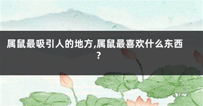 属鼠最吸引人的地方,属鼠最喜欢什么东西?