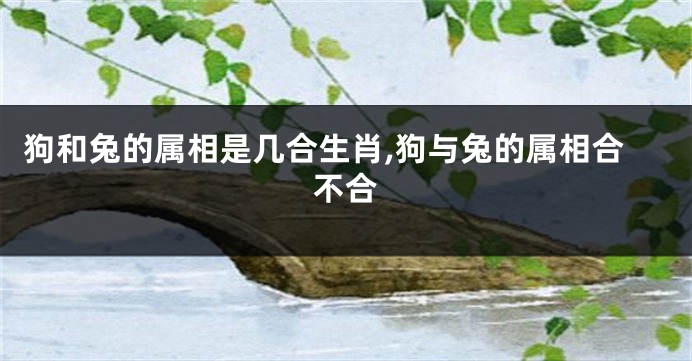 狗和兔的属相是几合生肖,狗与兔的属相合不合