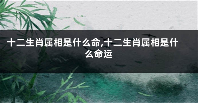 十二生肖属相是什么命,十二生肖属相是什么命运