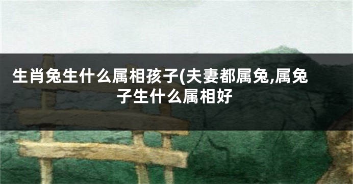 生肖兔生什么属相孩子(夫妻都属兔,属兔子生什么属相好
