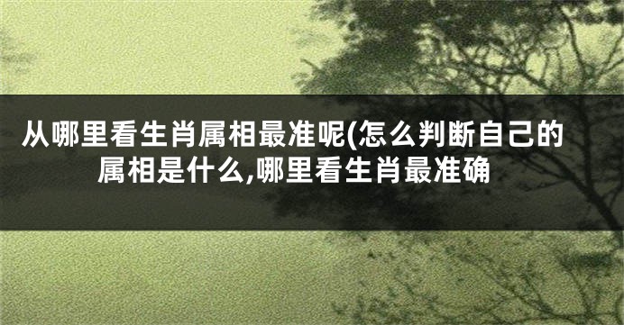 从哪里看生肖属相最准呢(怎么判断自己的属相是什么,哪里看生肖最准确