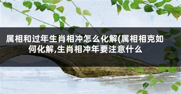 属相和过年生肖相冲怎么化解(属相相克如何化解,生肖相冲年要注意什么