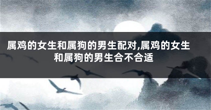 属鸡的女生和属狗的男生配对,属鸡的女生和属狗的男生合不合适