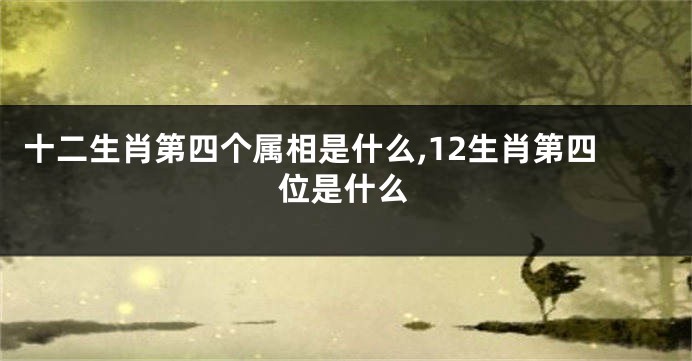 十二生肖第四个属相是什么,12生肖第四位是什么