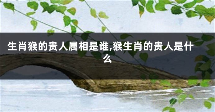 生肖猴的贵人属相是谁,猴生肖的贵人是什么