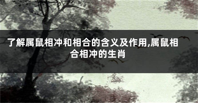 了解属鼠相冲和相合的含义及作用,属鼠相合相冲的生肖
