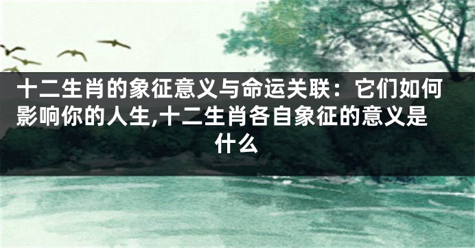 十二生肖的象征意义与命运关联：它们如何影响你的人生,十二生肖各自象征的意义是什么