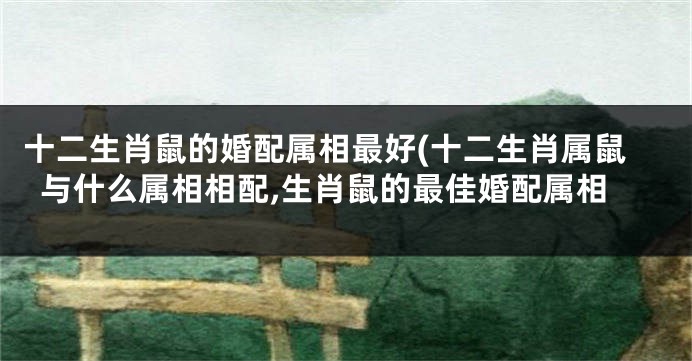 十二生肖鼠的婚配属相最好(十二生肖属鼠与什么属相相配,生肖鼠的最佳婚配属相