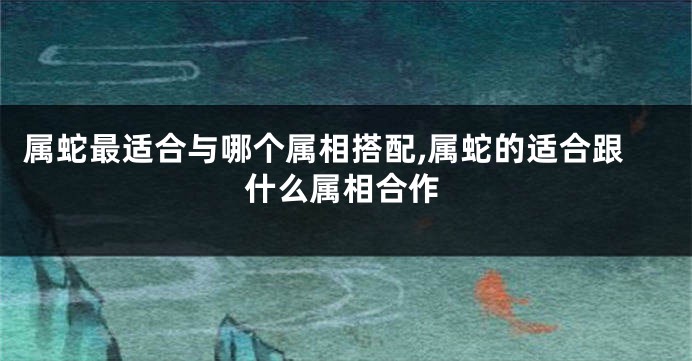 属蛇最适合与哪个属相搭配,属蛇的适合跟什么属相合作