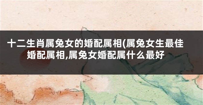 十二生肖属兔女的婚配属相(属兔女生最佳婚配属相,属兔女婚配属什么最好